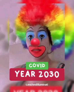 Covid Year 2030 ...