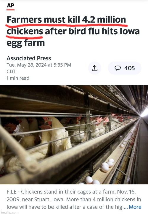 Damit wir uns richtig verstehen. Es ist kein "Virus", der die Hühner tötet. Es sind die Landwirte. Sie sind in...