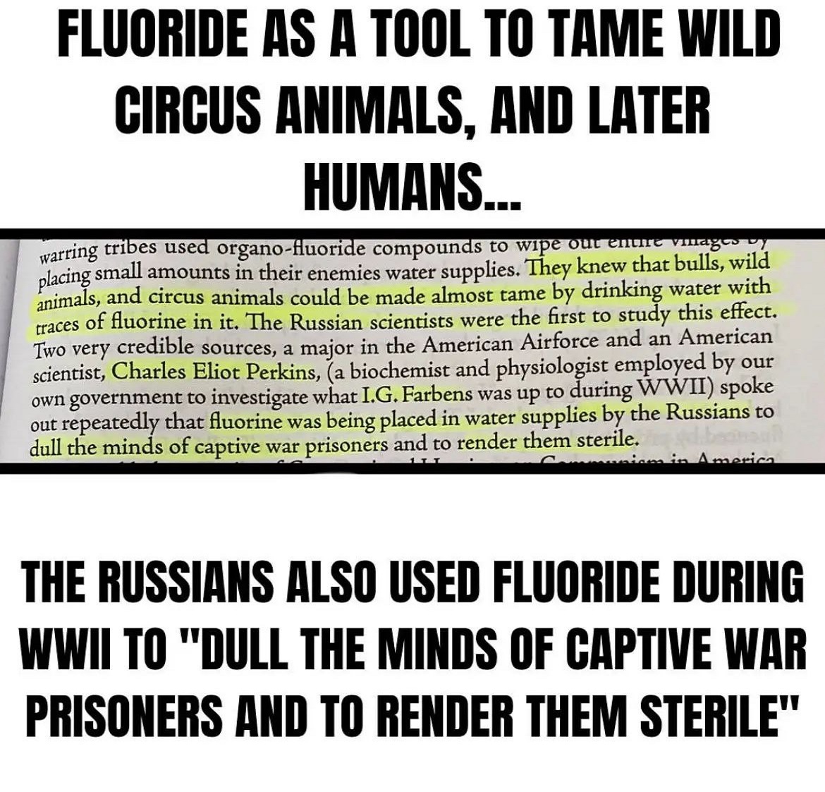 Fluorid
