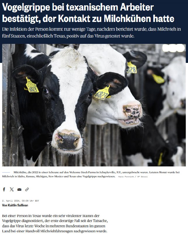 Jetzt können also Kühe die Vogelgrippe bekommen Am 15. Februar 2024 berichtete die DailyMail, dass die USA mit China an ...