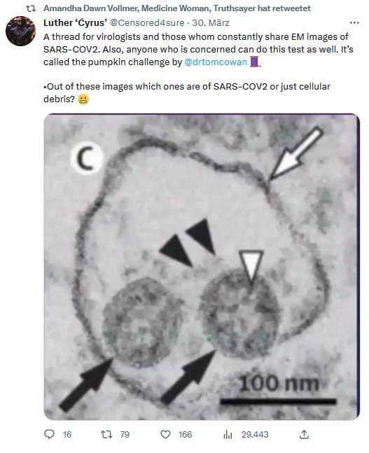 Luther ‘Ćyrus’@Censored4sure30. MärzA thread for virologists and those whom constantly share EM images of SARS-COV2. Als...