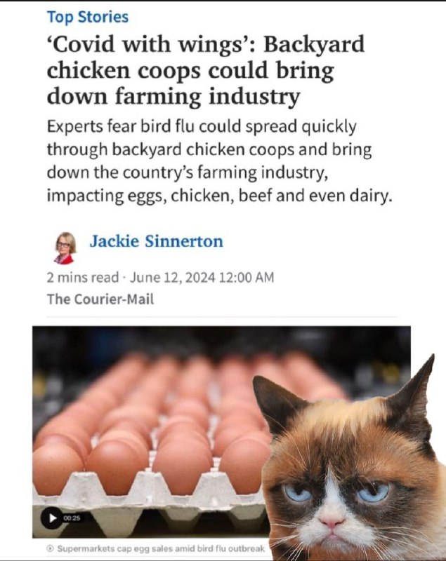 «„COVID mit Flügeln“ Hühnerställe im Hinterhof könnten die Landwirtschaft zu Fall bringen»