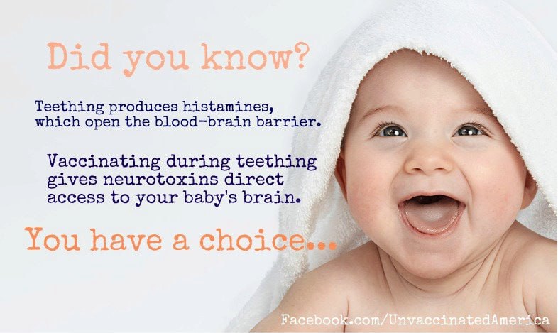 Wußten Sie das?Zahnen erzeugt Histamine, die die Blut-Hirn-Schranke öffnen.Impfungen während des Zahnens bringen die Neu...