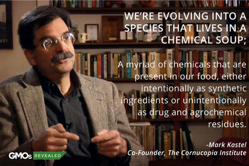 Foto: GMOs Revealed, fair use.