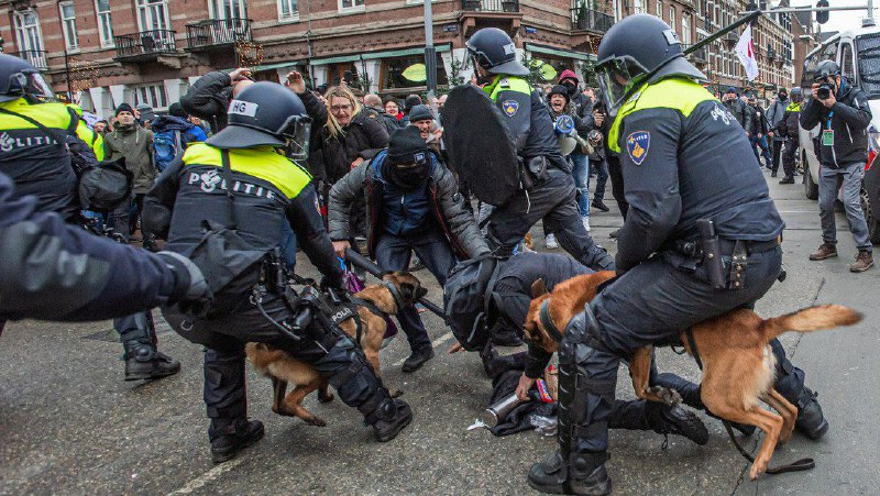 Polizeigewalt bei Corona-Demo in Amsterdam: UN-Beauftragter sucht BeweismaterialDer UN-Sonderbericht...