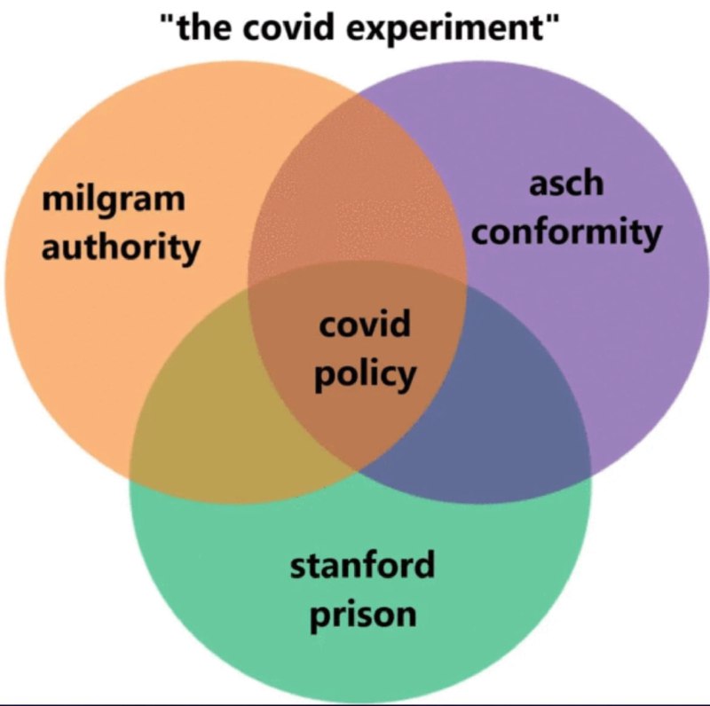 The Covid Experiment...