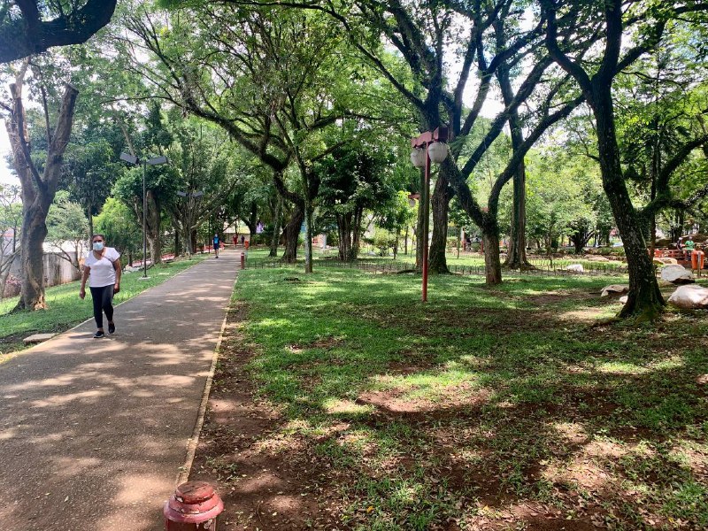 The media is the virus.I'm in a park in São Paulo right now, walking my puppies. I've run into appro...